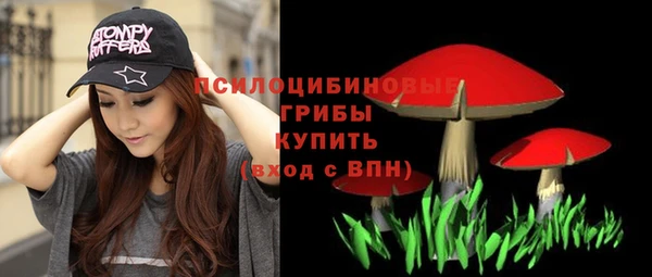 мескалин Арсеньев