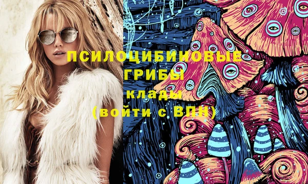 мескалин Арсеньев