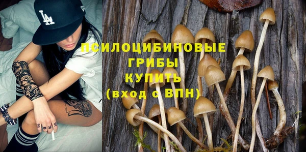 дмт Протвино